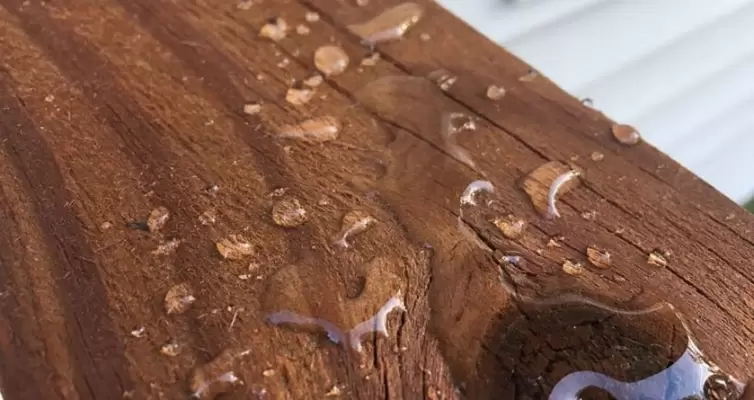 O que acontece com a madeira no processo de secagem